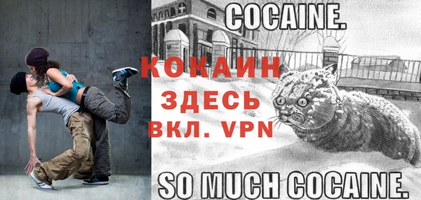 прущие грибы Кодинск