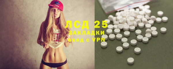 прущие грибы Кодинск