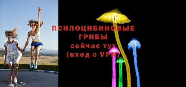 круглые Козельск