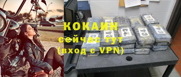 прущие грибы Кодинск