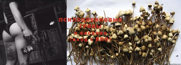 прущие грибы Кодинск