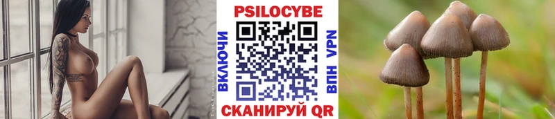 kraken маркетплейс  Ленинградская  Псилоцибиновые грибы Magic Shrooms 